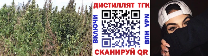 Дистиллят ТГК жижа  OMG сайт  Лагань 