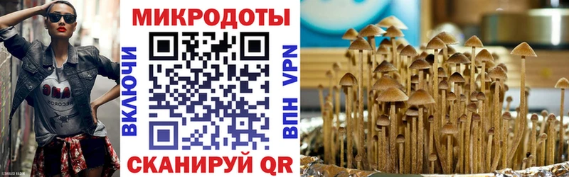 Псилоцибиновые грибы мицелий  сколько стоит  Лагань 